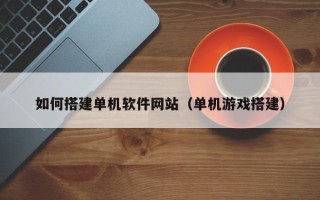 沈阳如何搭建单机软件网站（单机游戏搭建）